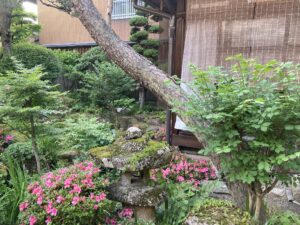 6月1日 更衣ころもがえ